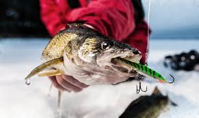 Best Walleye Ice Fishing Rod 2019/2020 - Pro Walleye Trail